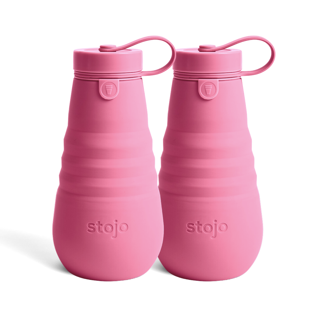 Berry_20oz_Bottle_2-pack-2_905450f2-3e26-42aa-aff5-be30a76ece72.png