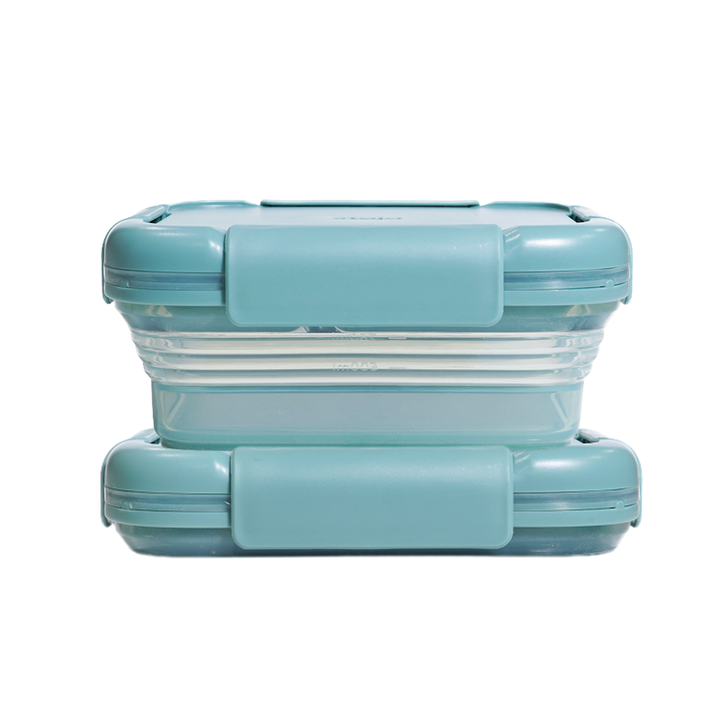 Large_2-pack_Eucalyptus.png